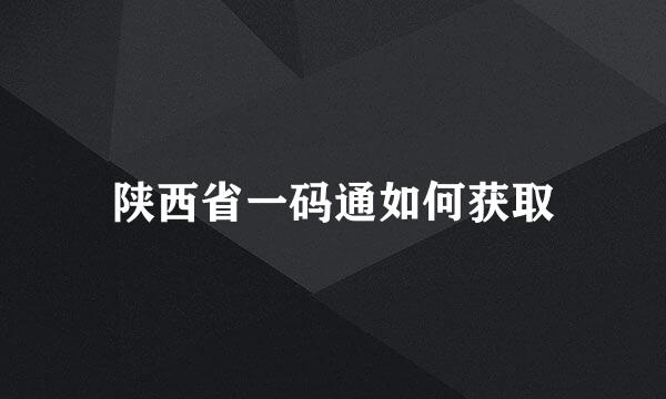 陕西省一码通如何获取