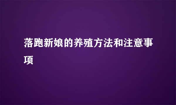 落跑新娘的养殖方法和注意事项