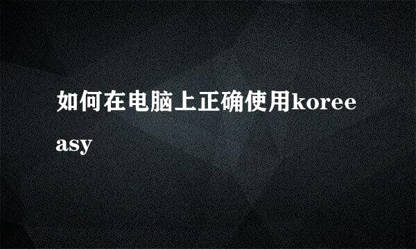 如何在电脑上正确使用koreeasy