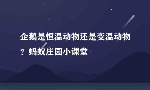 企鹅是恒温动物还是变温动物？蚂蚁庄园小课堂