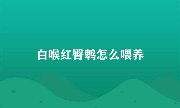 白喉红臀鹎怎么喂养