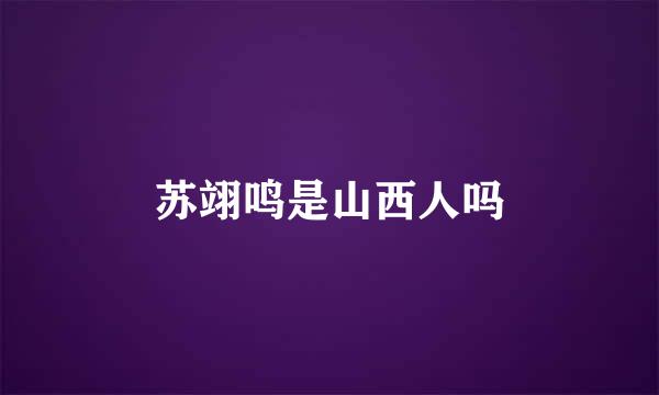 苏翊鸣是山西人吗