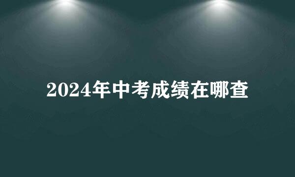 2024年中考成绩在哪查