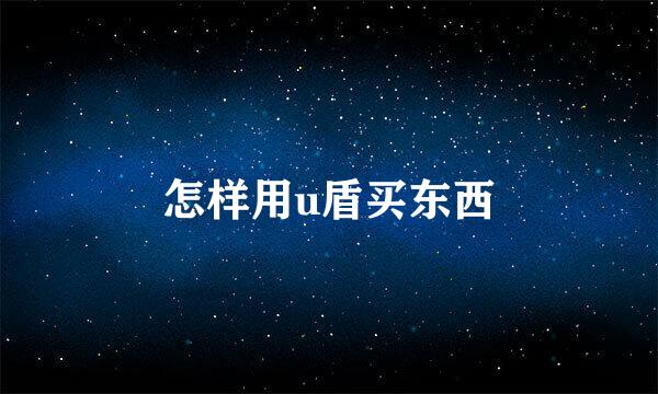 怎样用u盾买东西
