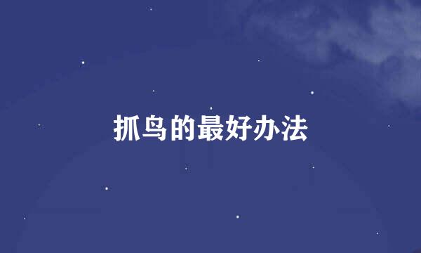 抓鸟的最好办法