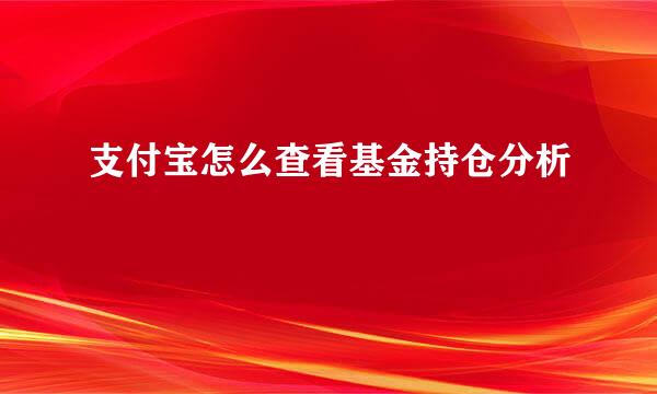 支付宝怎么查看基金持仓分析
