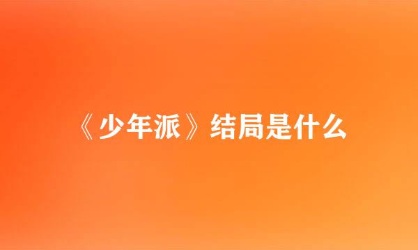 《少年派》结局是什么