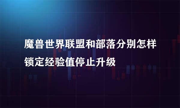 魔兽世界联盟和部落分别怎样锁定经验值停止升级