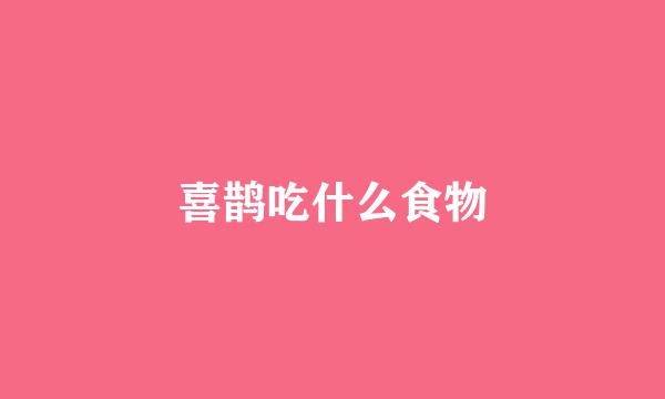 喜鹊吃什么食物