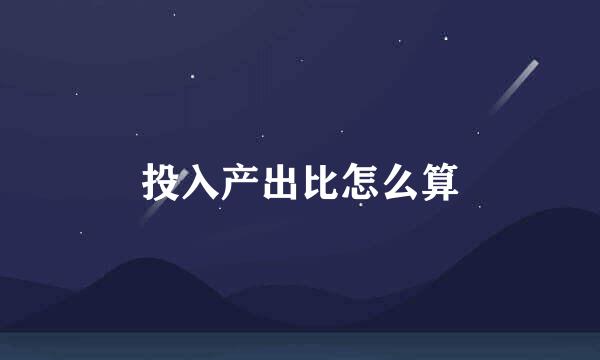 投入产出比怎么算