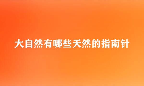 大自然有哪些天然的指南针