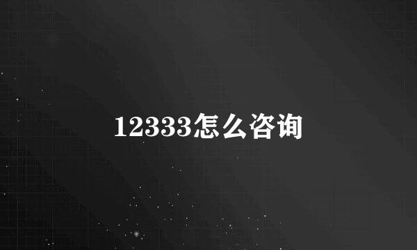 12333怎么咨询