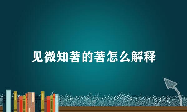 见微知著的著怎么解释