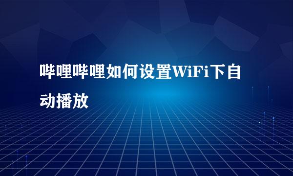 哔哩哔哩如何设置WiFi下自动播放