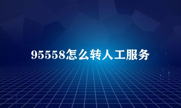 95558怎么转人工服务