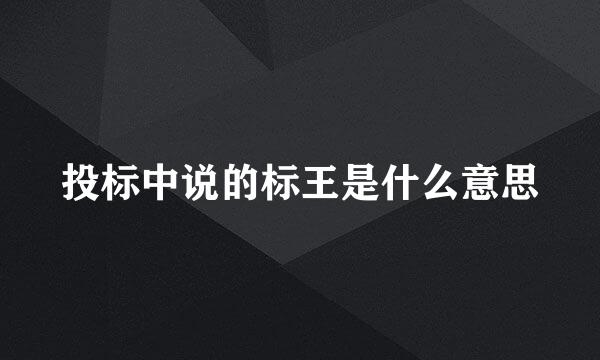 投标中说的标王是什么意思
