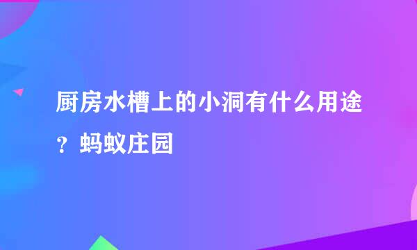 厨房水槽上的小洞有什么用途？蚂蚁庄园