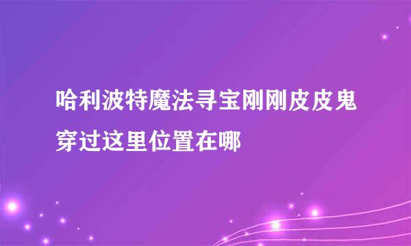 哈利波特魔法寻宝刚刚皮皮鬼穿过这里位置在哪