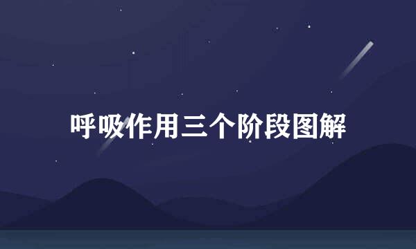 呼吸作用三个阶段图解