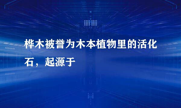 桦木被誉为木本植物里的活化石，起源于