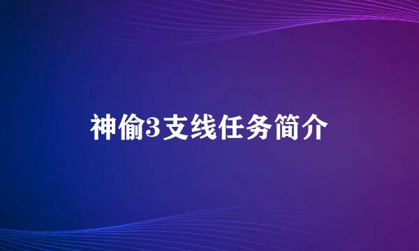 神偷3支线任务简介