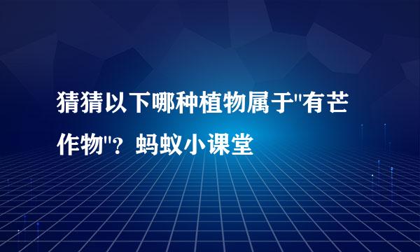 猜猜以下哪种植物属于