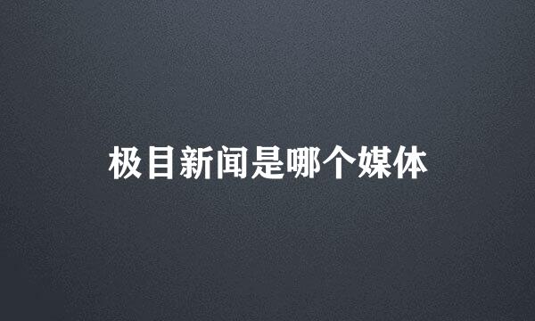 极目新闻是哪个媒体