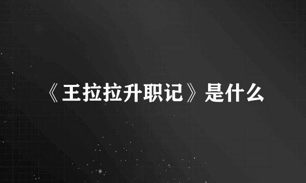 《王拉拉升职记》是什么