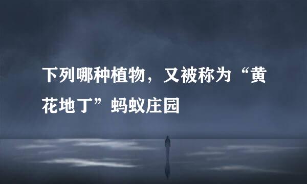 下列哪种植物，又被称为“黄花地丁”蚂蚁庄园