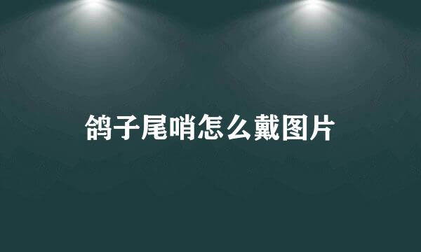 鸽子尾哨怎么戴图片