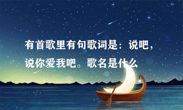 有首歌里有句歌词是：说吧，说你爱我吧。歌名是什么
