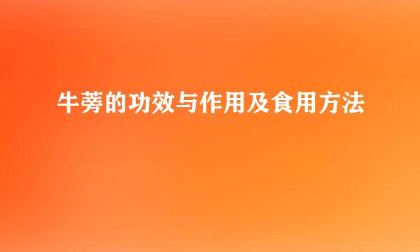 牛蒡的功效与作用及食用方法