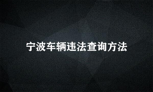 宁波车辆违法查询方法