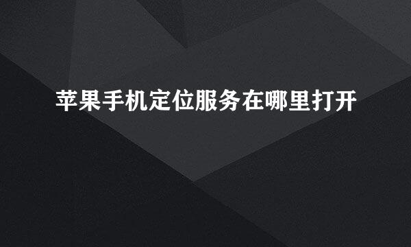 苹果手机定位服务在哪里打开