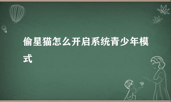 偷星猫怎么开启系统青少年模式