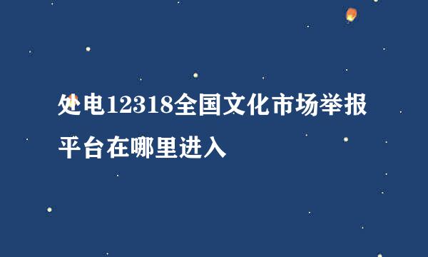处电12318全国文化市场举报平台在哪里进入