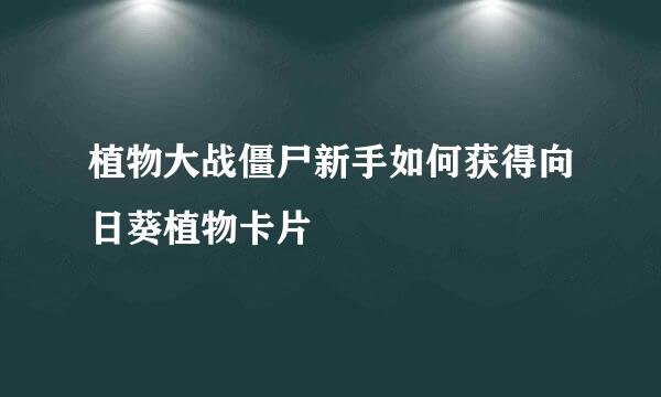 植物大战僵尸新手如何获得向日葵植物卡片