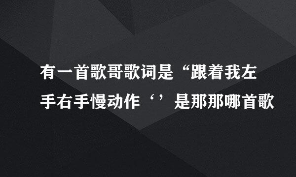 有一首歌哥歌词是“跟着我左手右手慢动作‘’是那那哪首歌