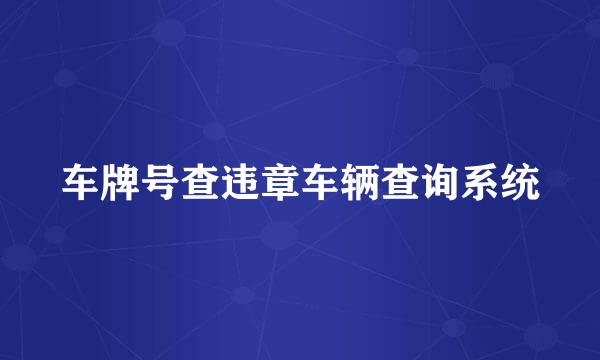 车牌号查违章车辆查询系统