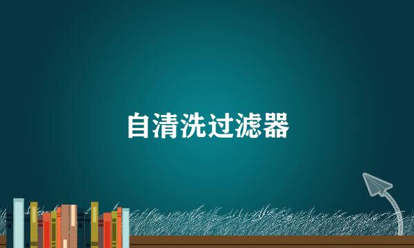 自清洗过滤器