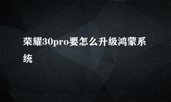 荣耀30pro要怎么升级鸿蒙系统
