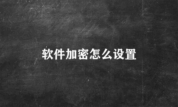 软件加密怎么设置