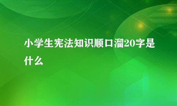 小学生宪法知识顺口溜20字是什么