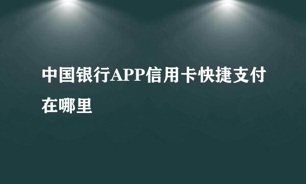 中国银行APP信用卡快捷支付在哪里