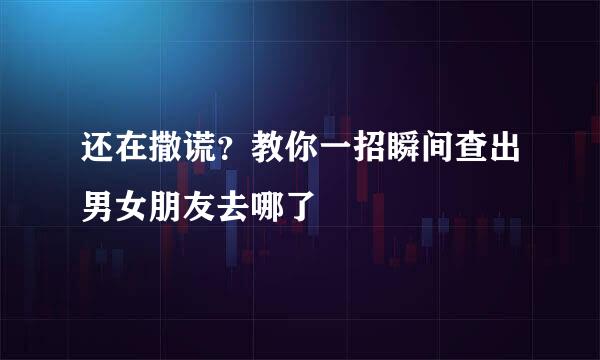 还在撒谎？教你一招瞬间查出男女朋友去哪了