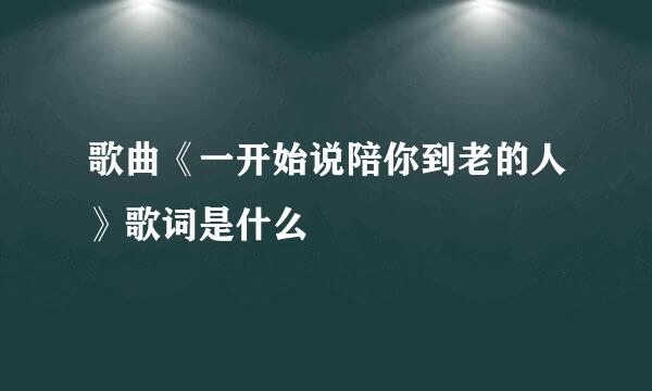 歌曲《一开始说陪你到老的人》歌词是什么