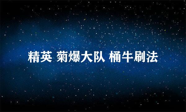 精英 菊爆大队 桶牛刷法
