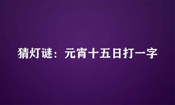 猜灯谜：元宵十五日打一字