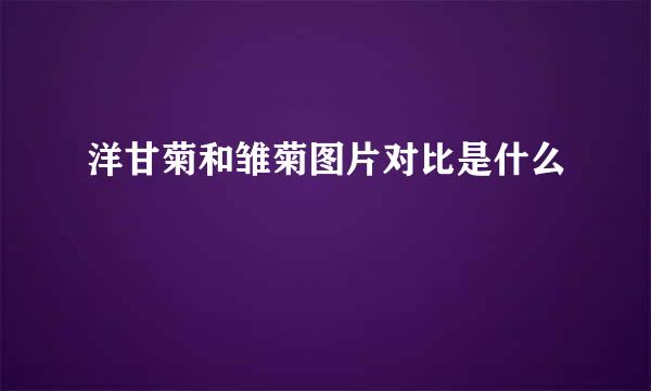洋甘菊和雏菊图片对比是什么