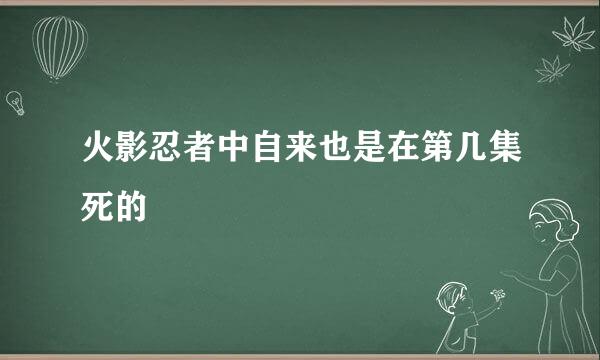 火影忍者中自来也是在第几集死的